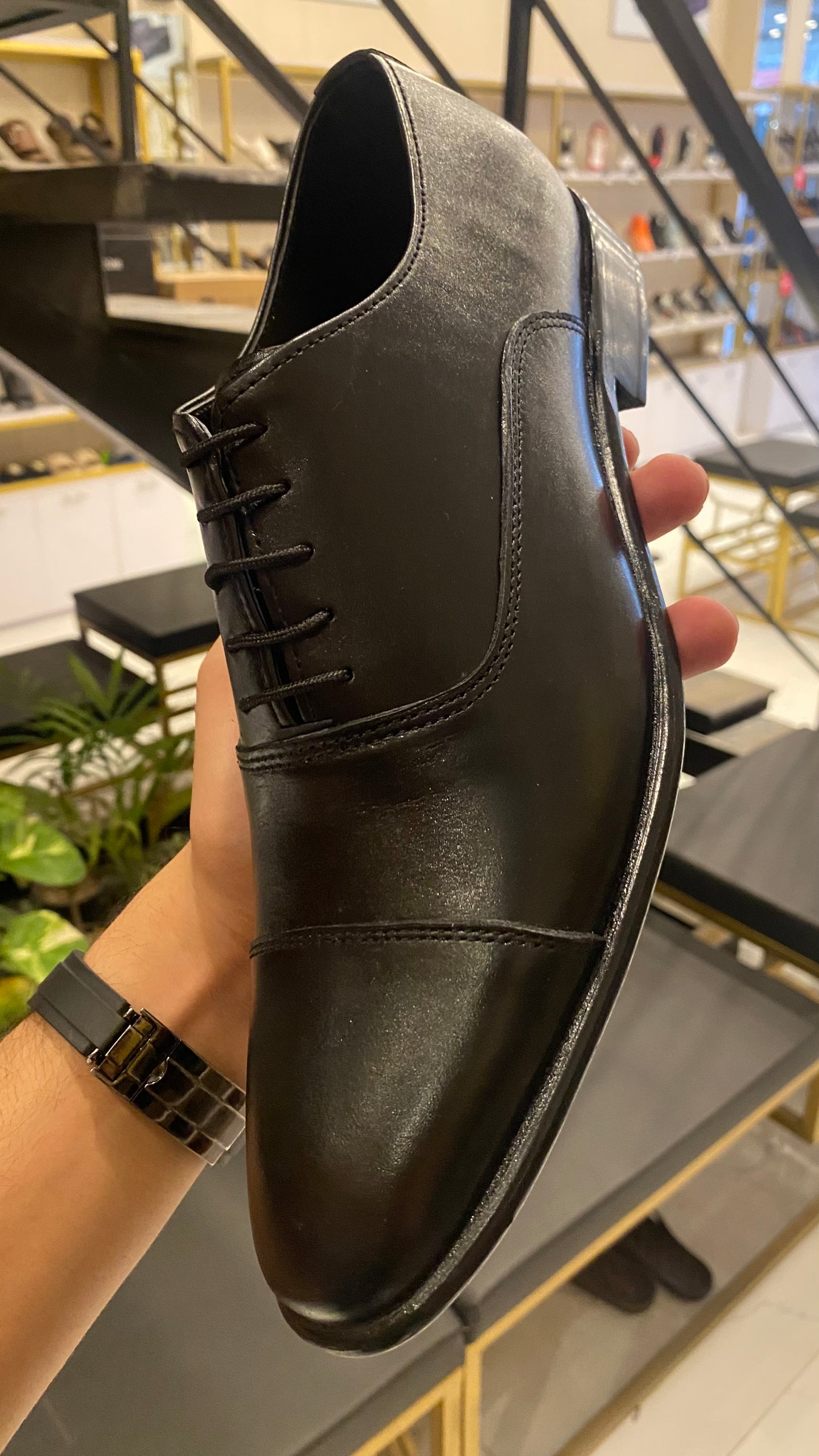 SP 103 DARK BLEND