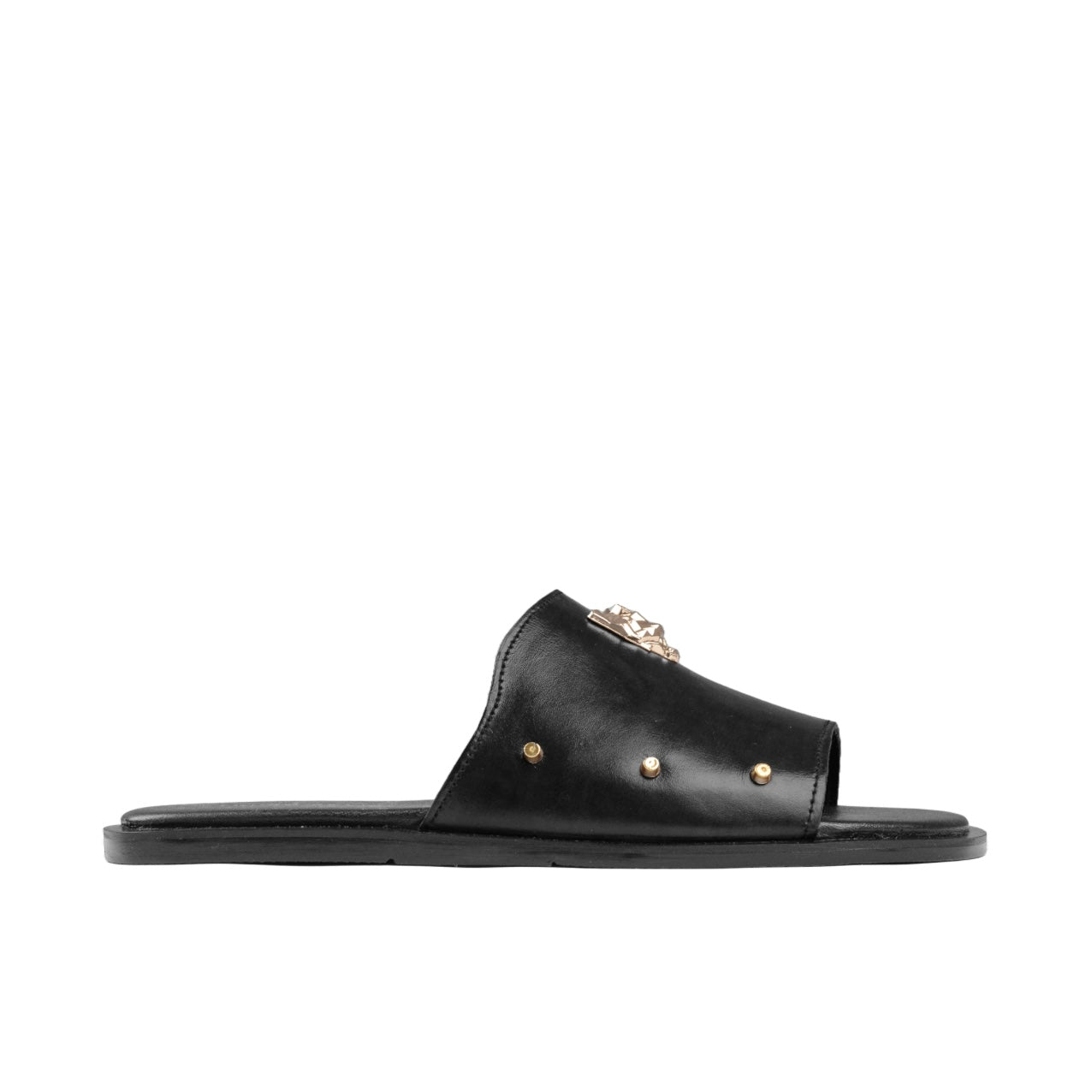 SP 046 Lion Head Black