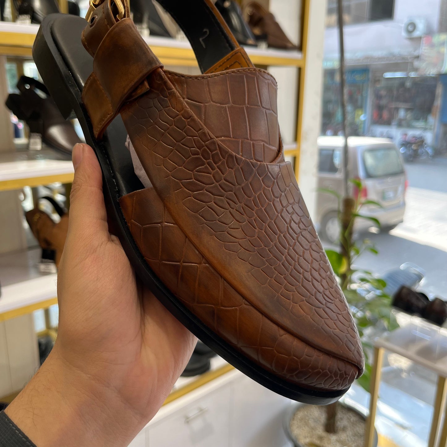 SP 085 Crocodile