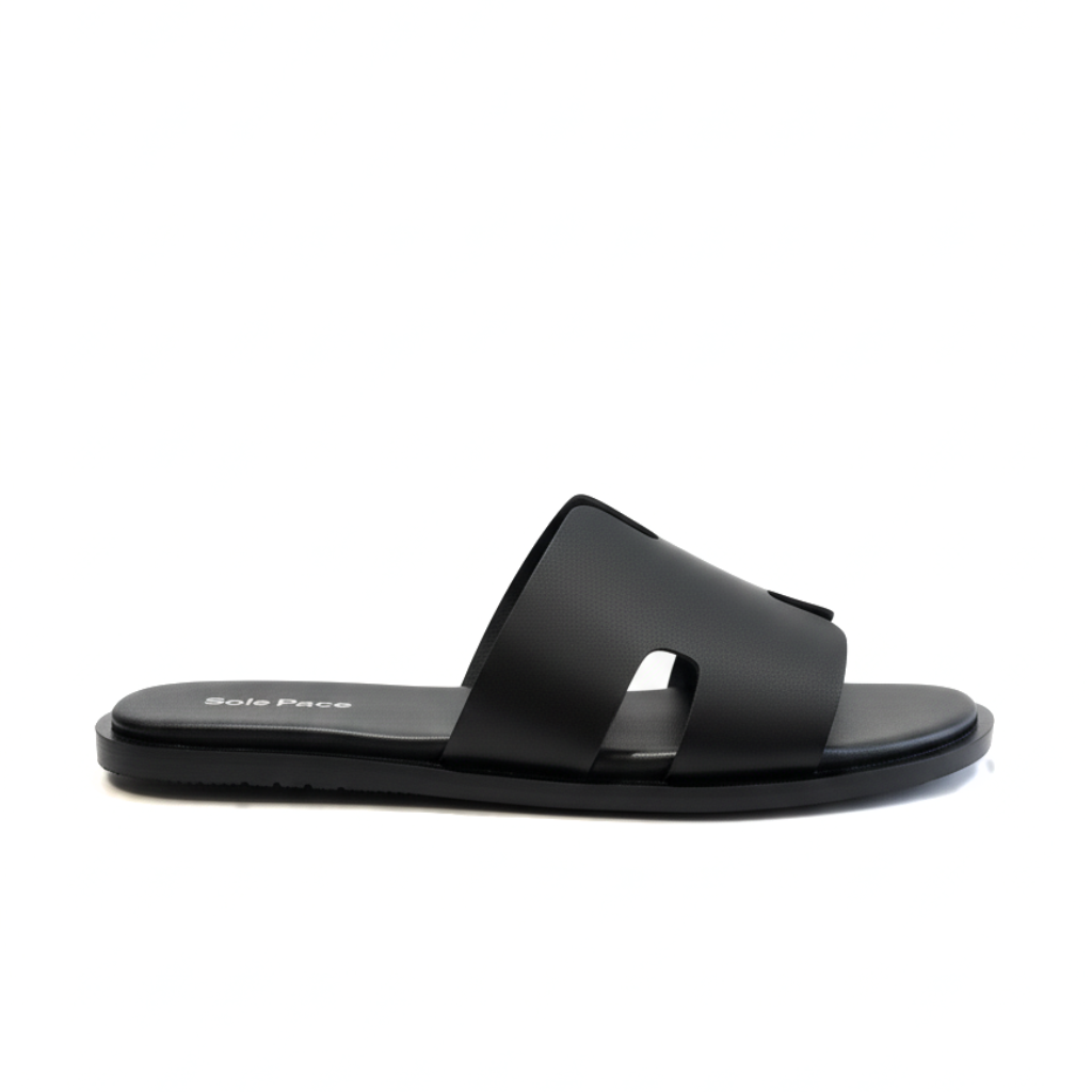 SP 218 Hermes Plain