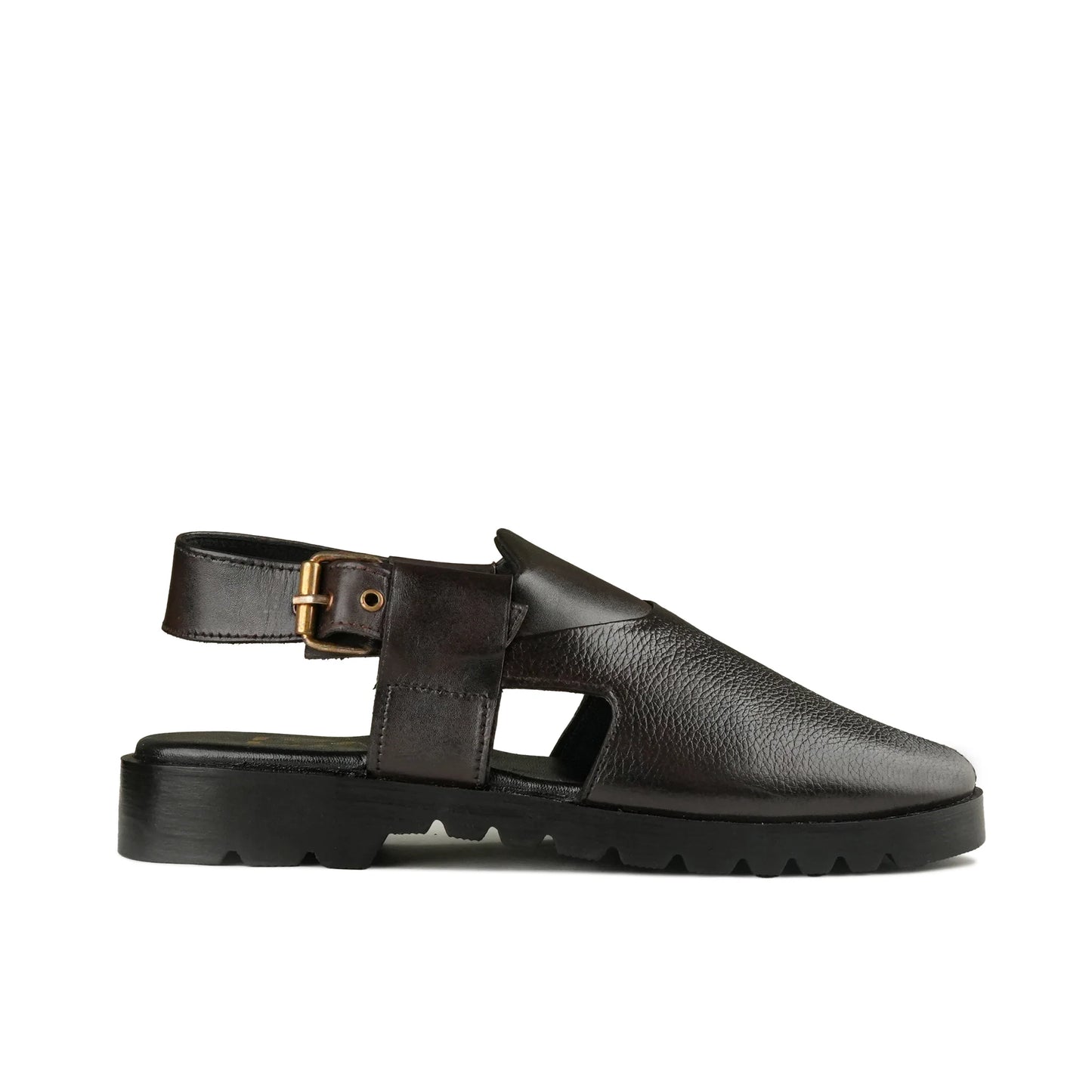 SP 231 CHESTNUT
