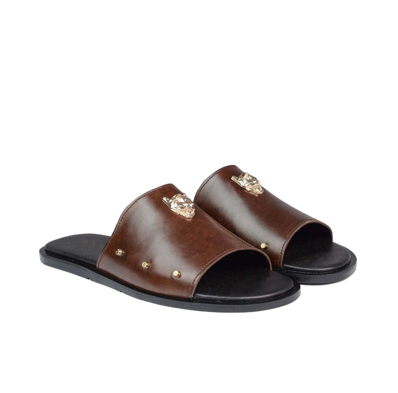 SP 046 Lion Head Brown