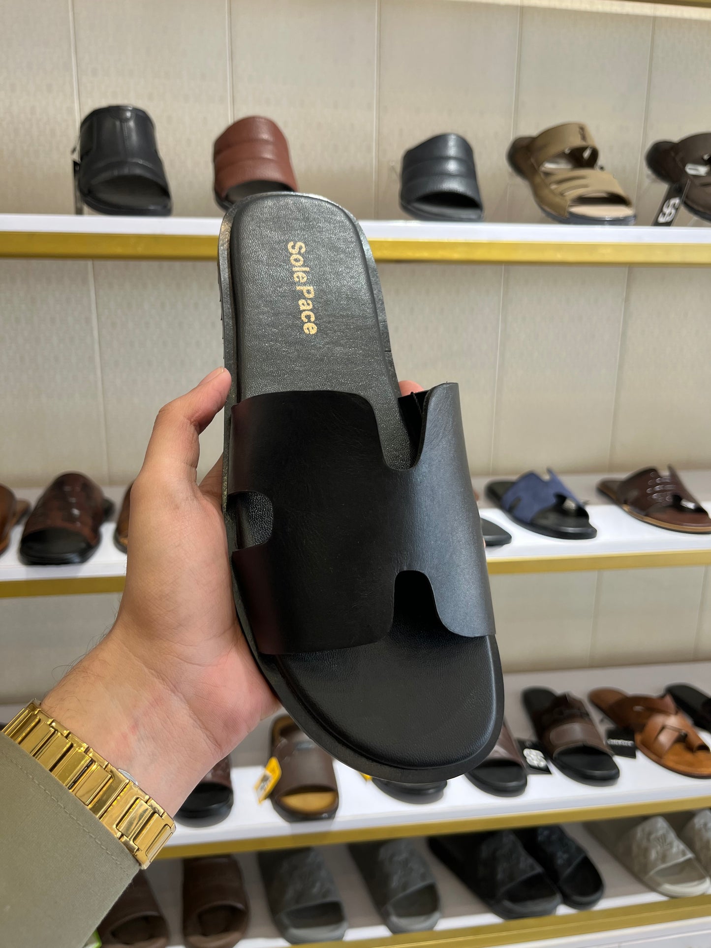 SP 218 Hermes Plain