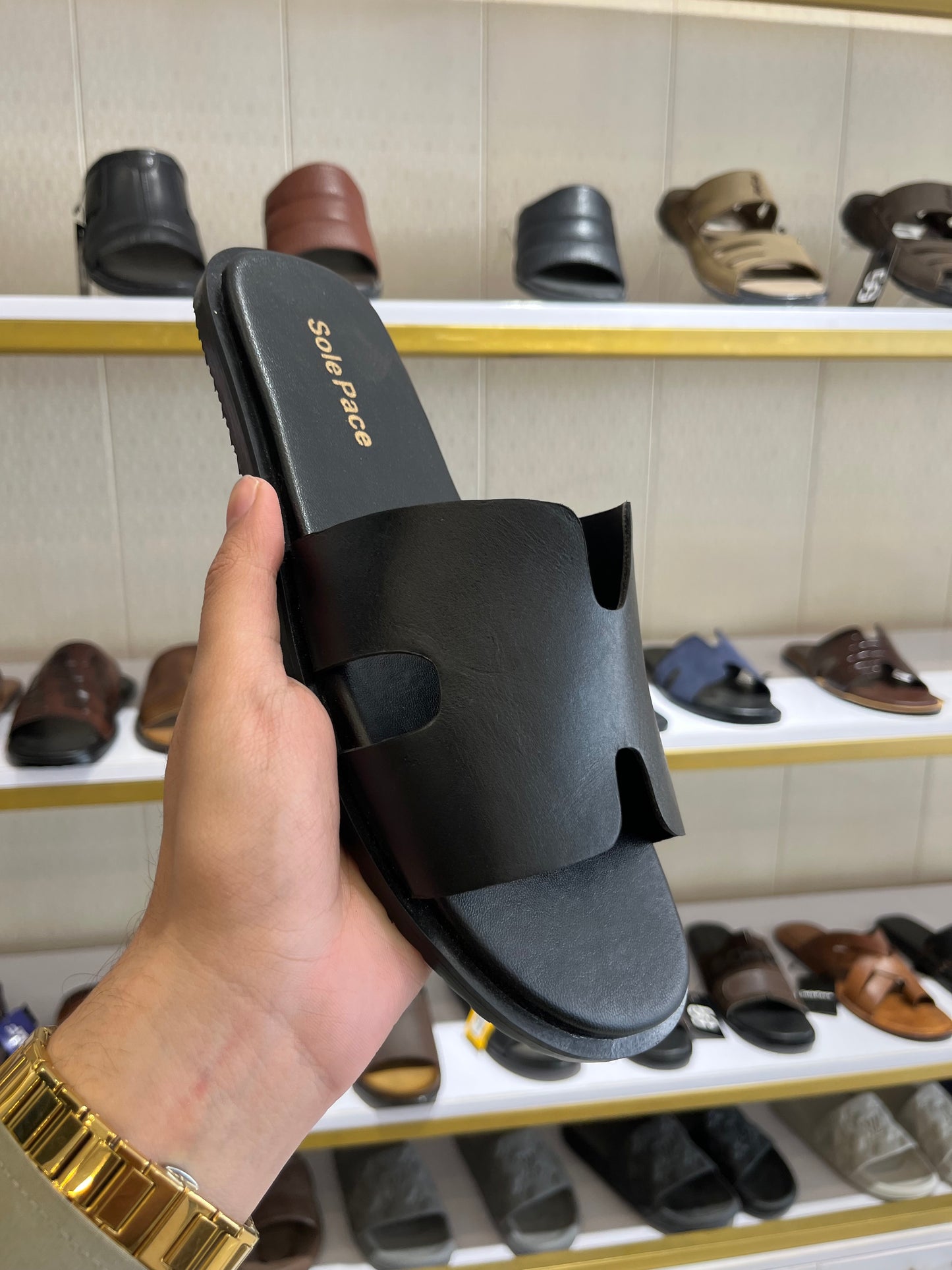 SP 218 Hermes Plain