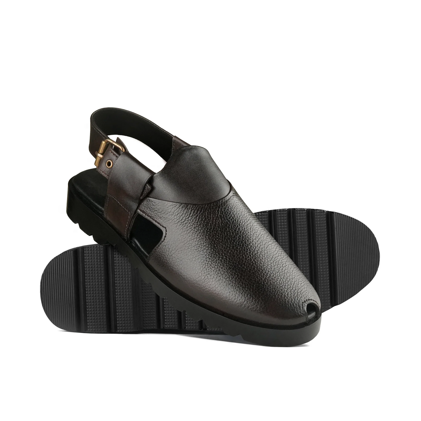 SP 231 CHESTNUT
